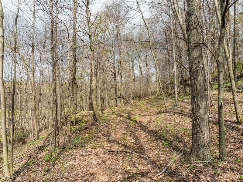 8480 Possum Hollow Road NW, Dundee, OH 44624 Photo 6