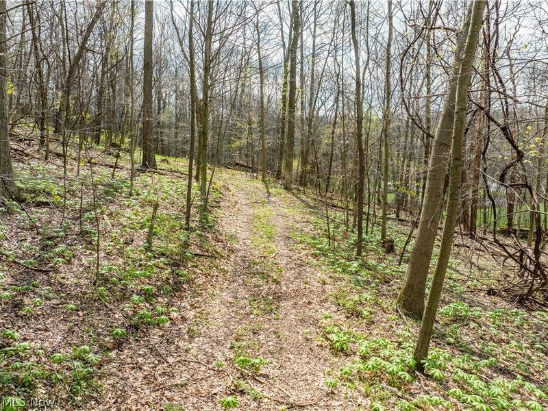 8480 Possum Hollow Road NW, Dundee, OH 44624 Photo 7