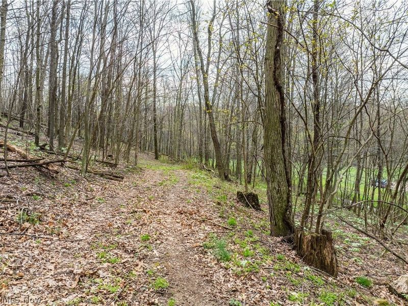 8480 Possum Hollow Road NW, Dundee, OH 44624 Photo 8
