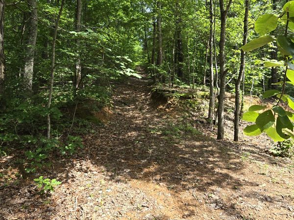 185 Co Rd 179, Decatur, TN 37322