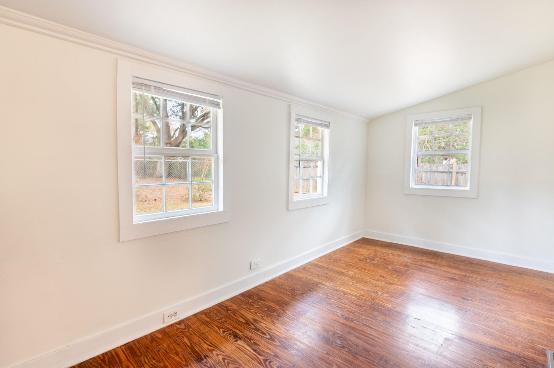 1620 Mole Lane Photo 39