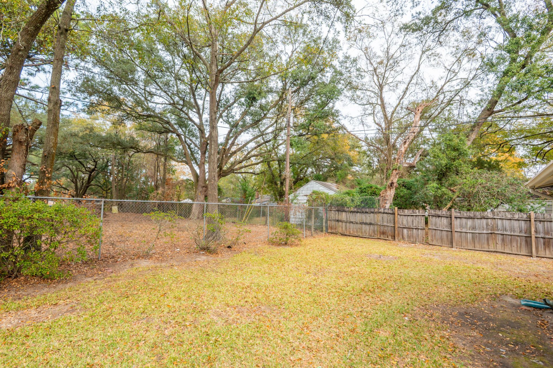 1620 Mole Lane Photo 43