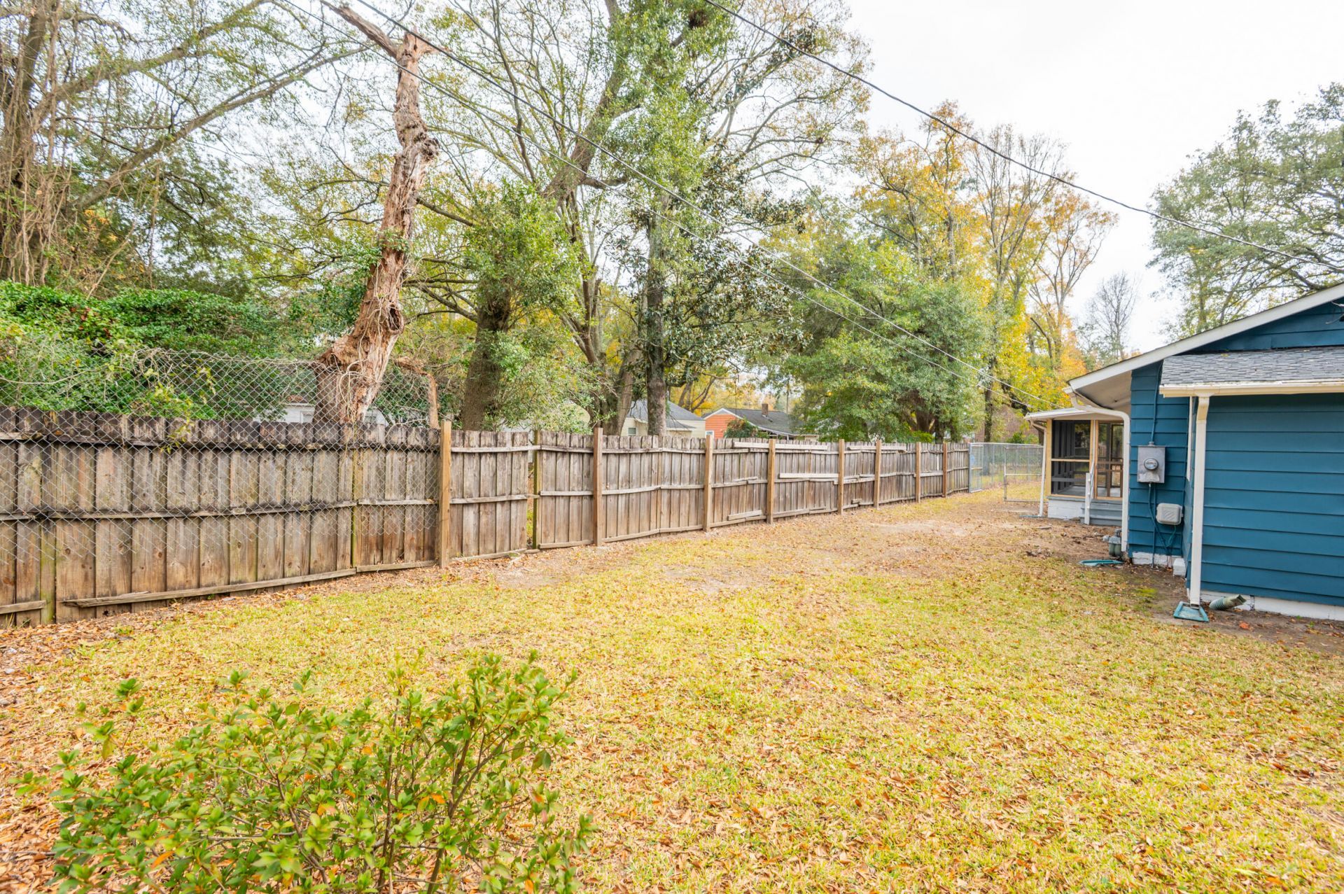 1620 Mole Lane Photo 44