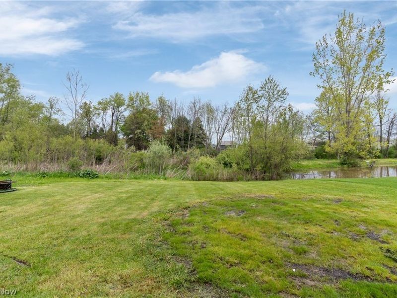 174 Brixton Way, Wadsworth, OH 44281 Photo 36