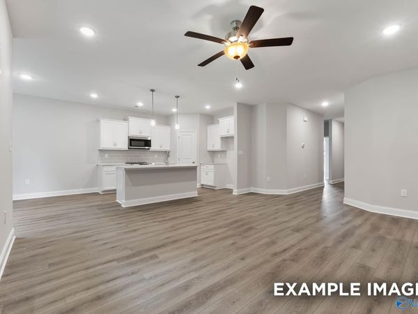 131 Bella May Lane, New Market, AL 35761