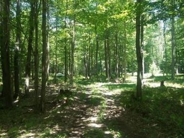 #2 Tamblin Ridge Trail, Constantia, NY 13028