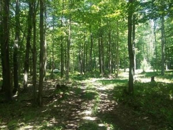 #2 Tamblin Ridge Trail, Constantia, NY 13028