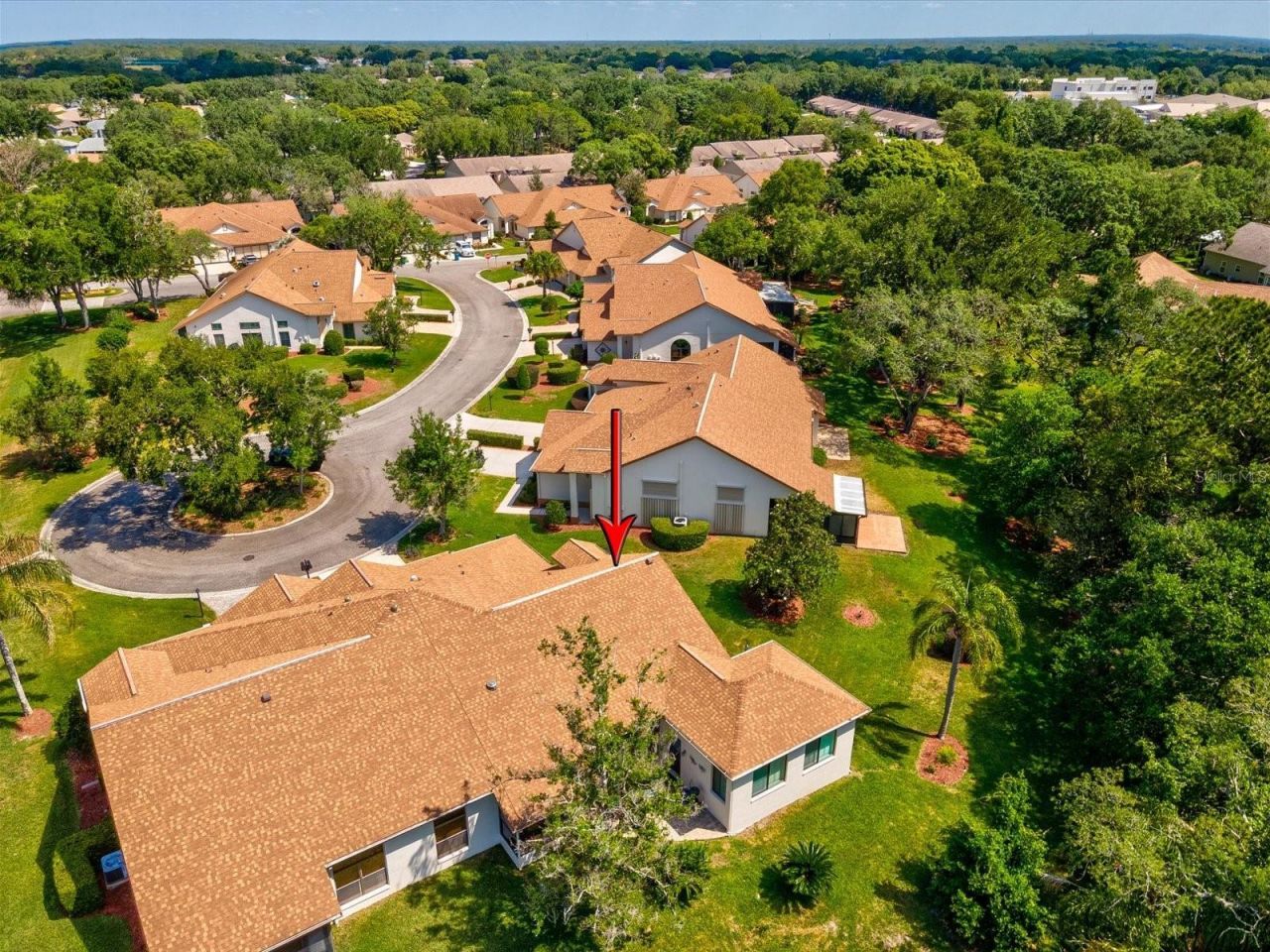 1462 Shady Brook Court , Spring Hill, FL 34606 Photo