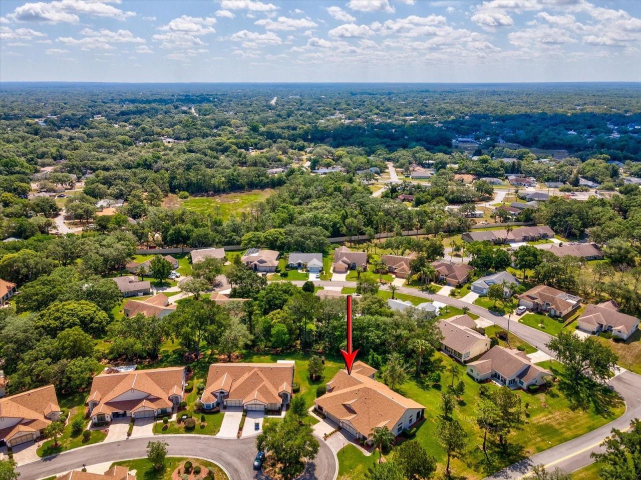 1462 Shady Brook Court , Spring Hill, FL 34606 Photo