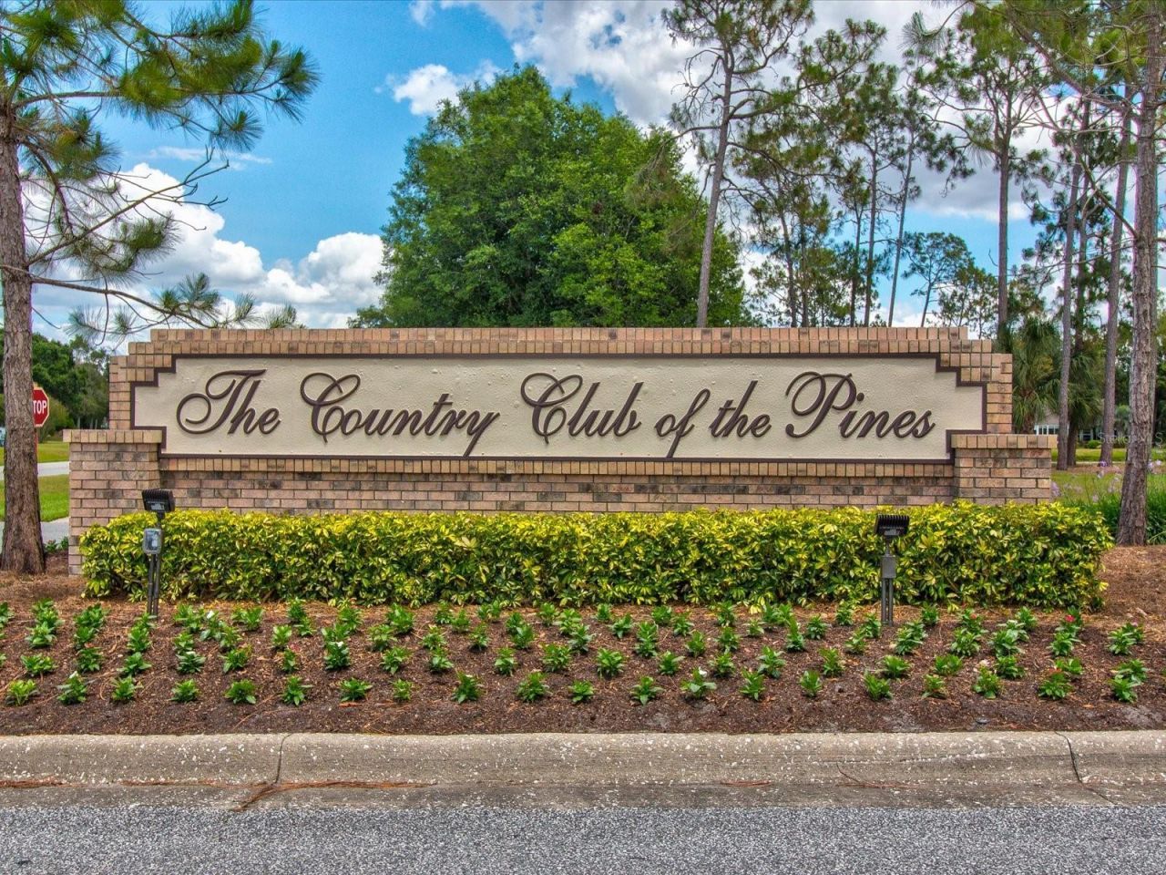 1462 Shady Brook Court , Spring Hill, FL 34606 Photo
