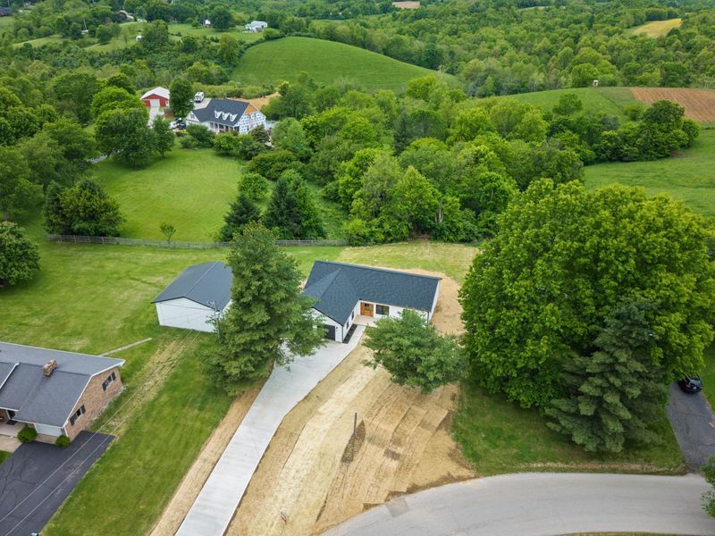 519 Humes Ridge Road, Williamstown, KY 41097 Photo 2