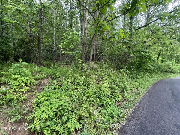 TBD Valley Creek Rd, Dryden, VA 24243