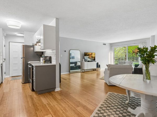 1200 Nicollet Mall, Unit 307, Minneapolis, MN 55403
