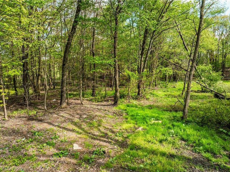 8089 Nebraska Road NW, Dundee, OH 44624 Photo 11