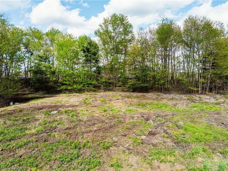 8089 Nebraska Road NW, Dundee, OH 44624 Photo 2