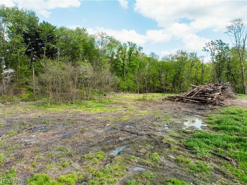 8089 Nebraska Road NW, Dundee, OH 44624 Photo 3