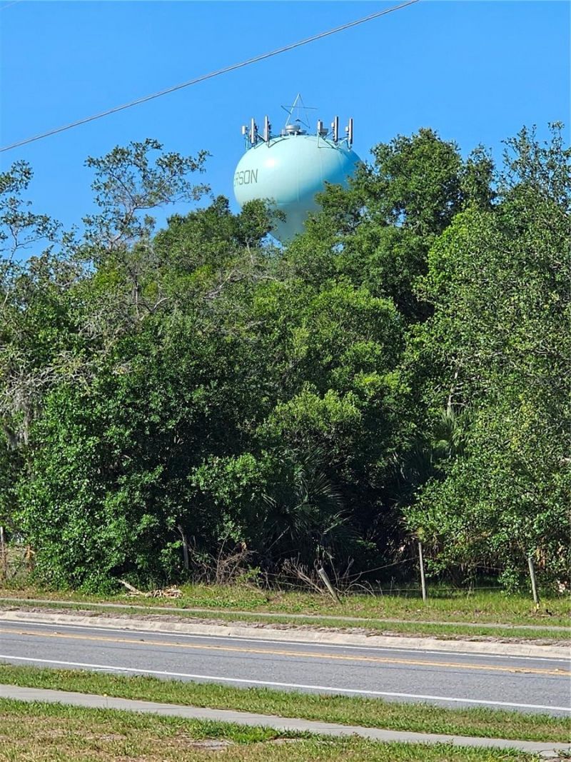 123 W 2nd Avenue , Pierson, FL 32180 Photo
