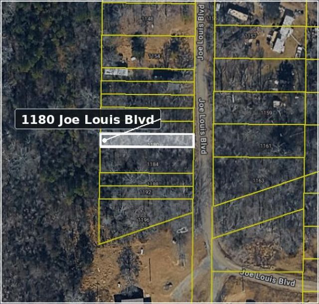 1180 Joe Louis Boulevard Photo 4