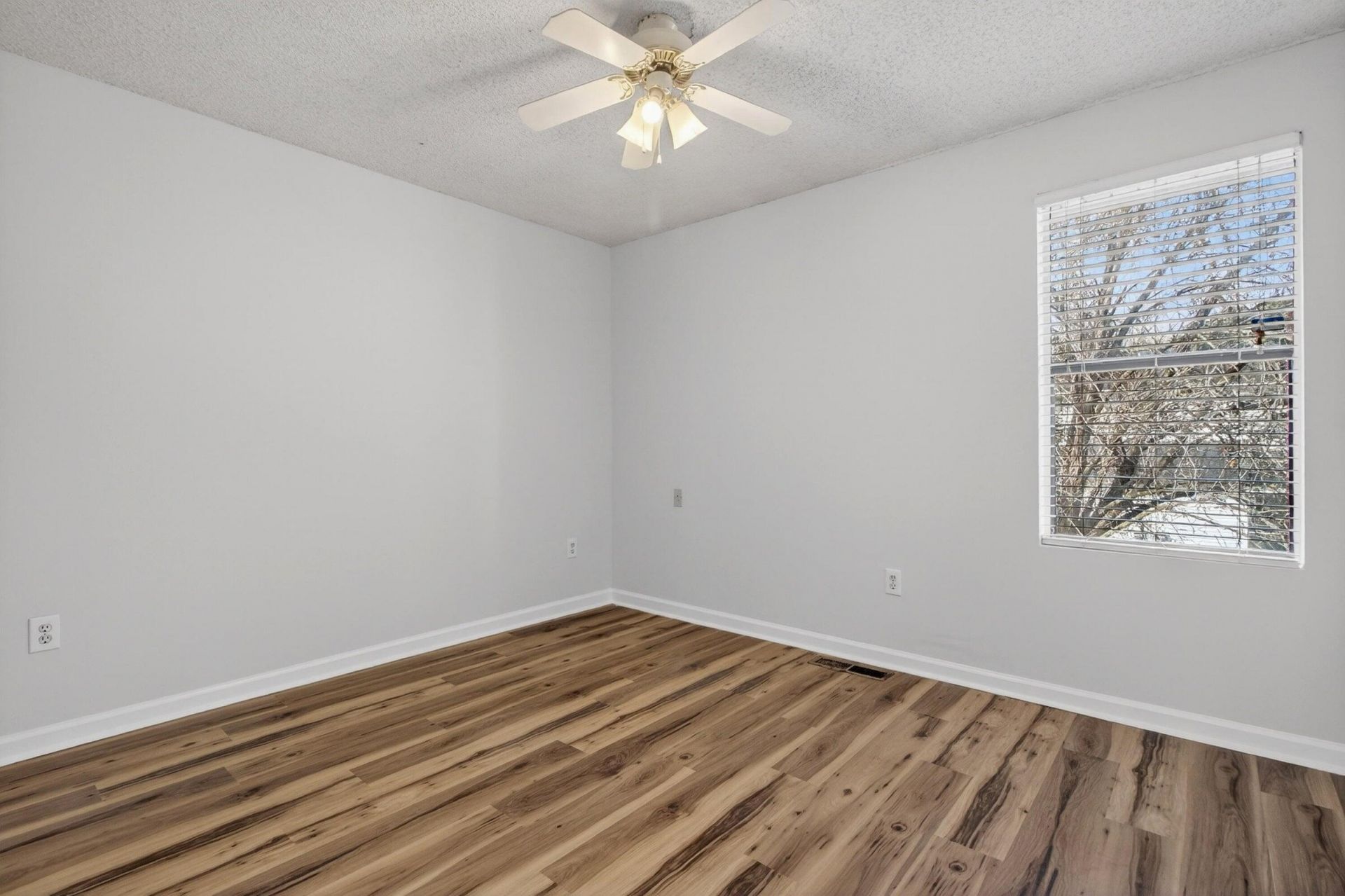 6248 Lucille Drive Photo 20