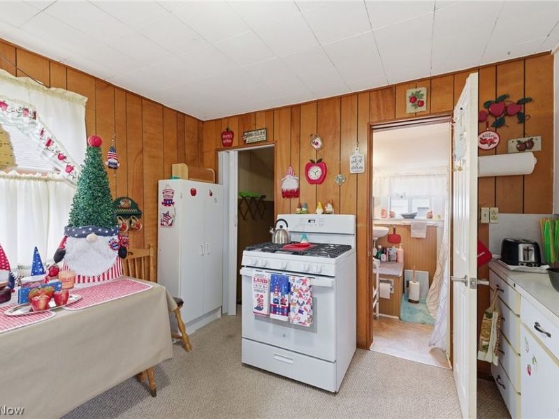 407 Phillips Avenue, Ashland, OH 44805 Photo 11