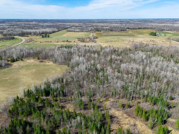 TBD County 63 , Boy River, MN 56672