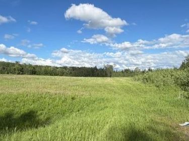 TBD County 63, Boy River, MN 56672