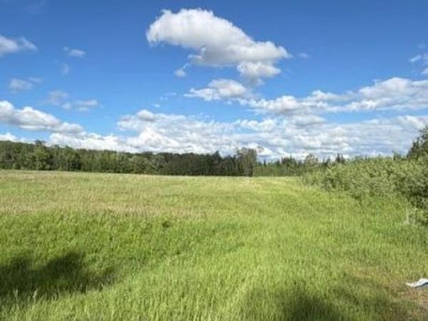 TBD County 63, Boy River, MN 56672