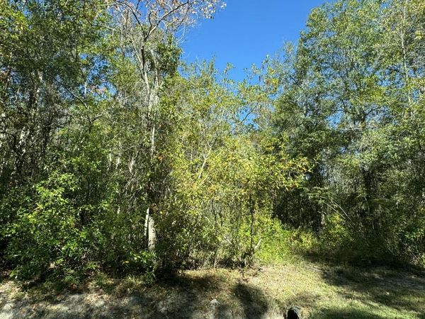 Indian Street, Bay Saint Louis, MS 39520