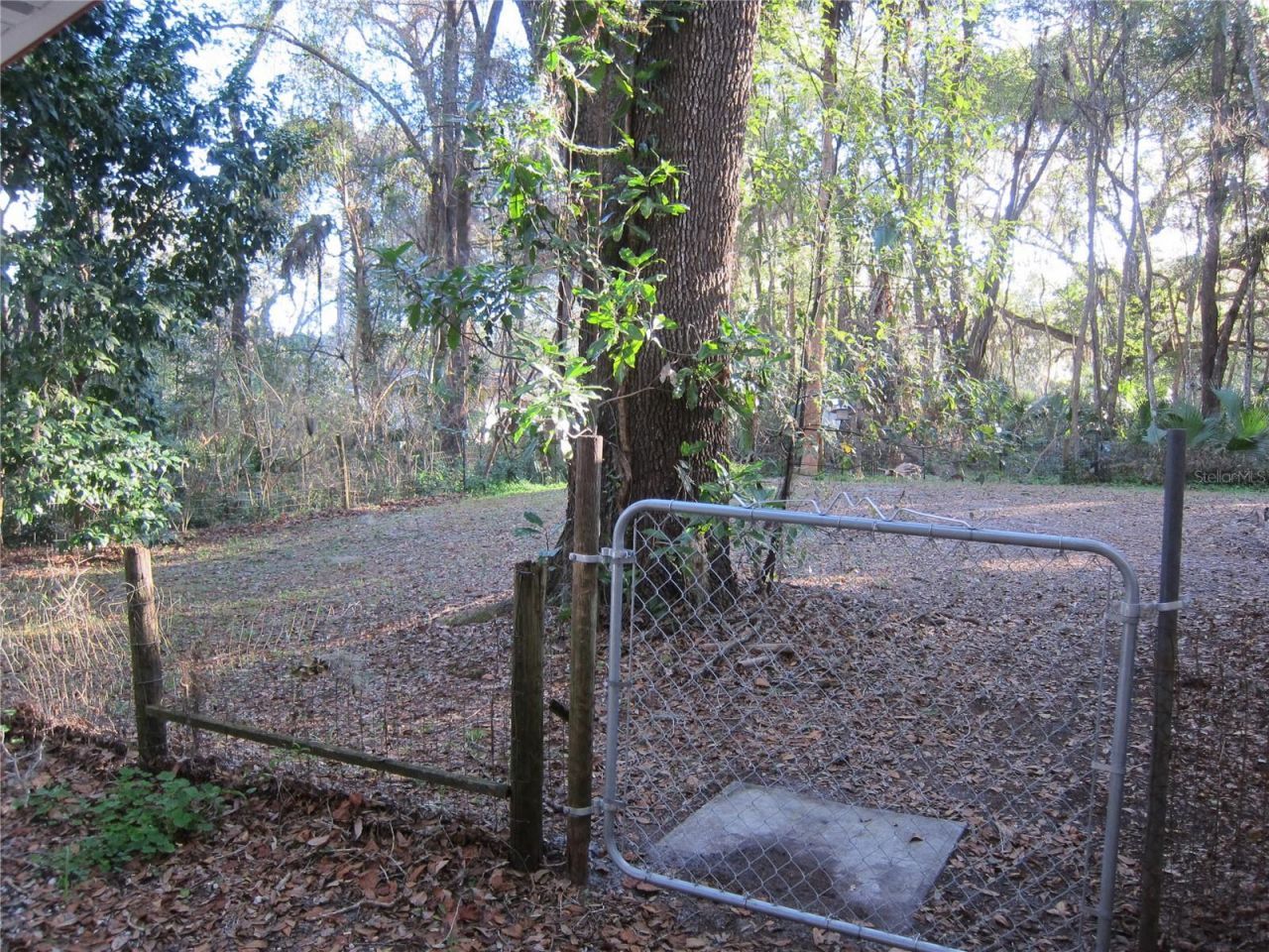 208 NE 7 Place, Unit A, Micanopy, FL 32667 Photo