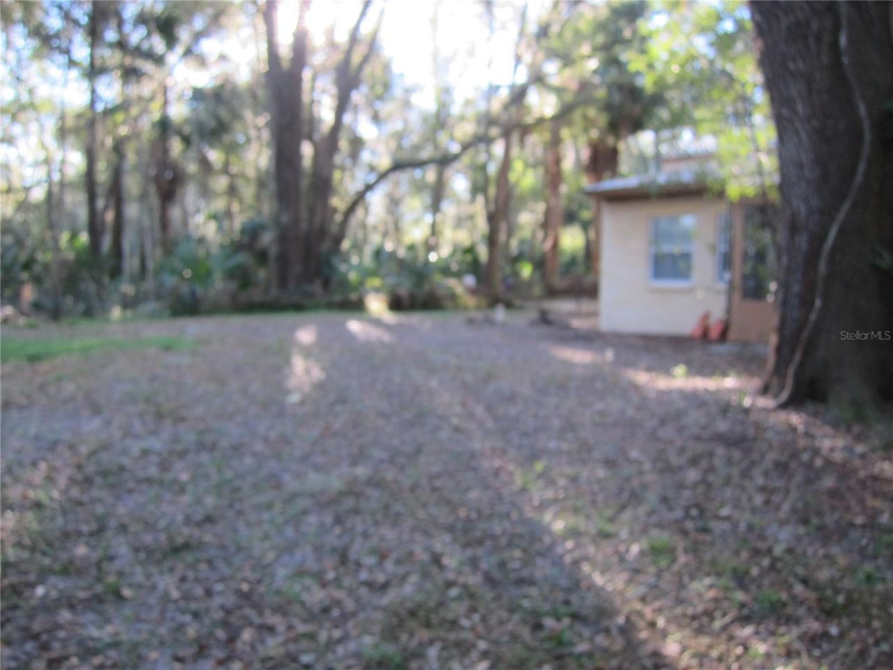 208 NE 7 Place, Unit A, Micanopy, FL 32667 Photo