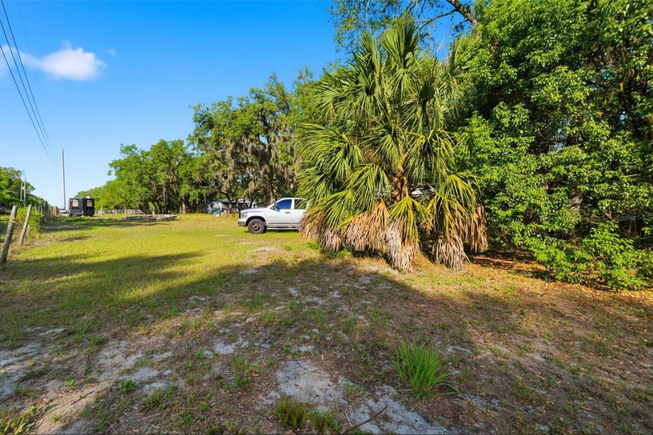 11219 Hook Lane, Hudson, FL 34669 Photo