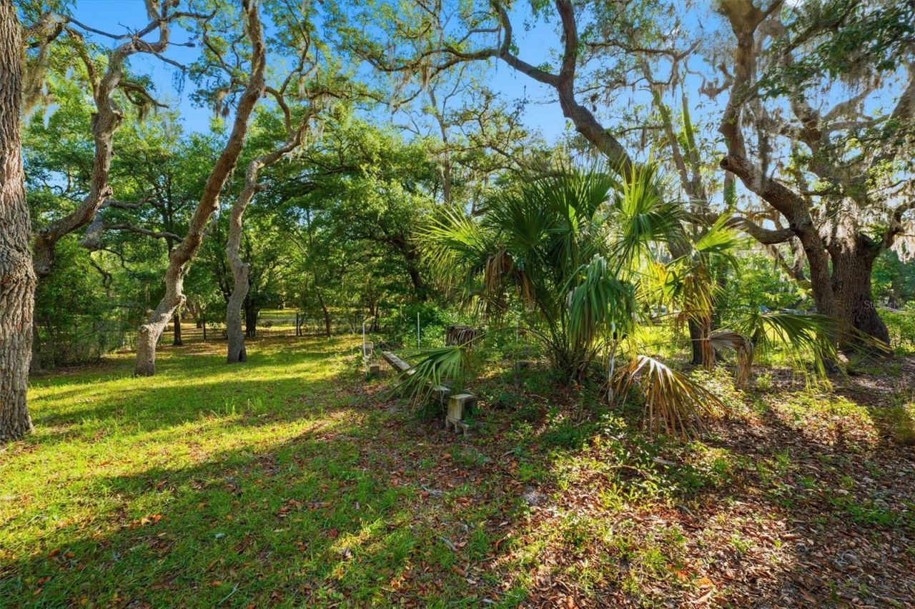 11219 Hook Lane, Hudson, FL 34669 Photo