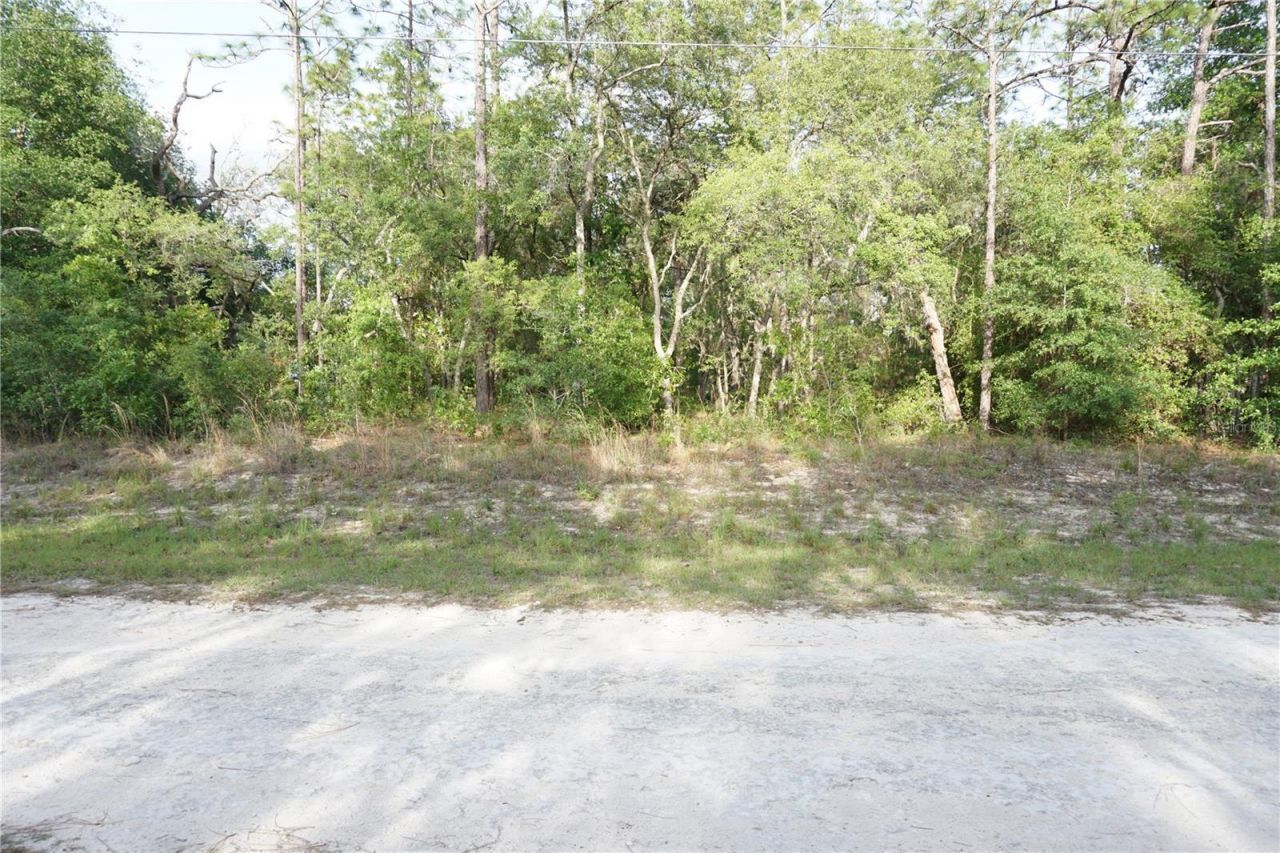 00 (tbd) SW 135 Terrace Road, Dunnellon, FL 34432 Main Photo