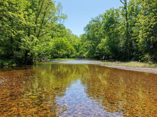 0 Phillips Chapel Rd , Waynesboro, TN 38485