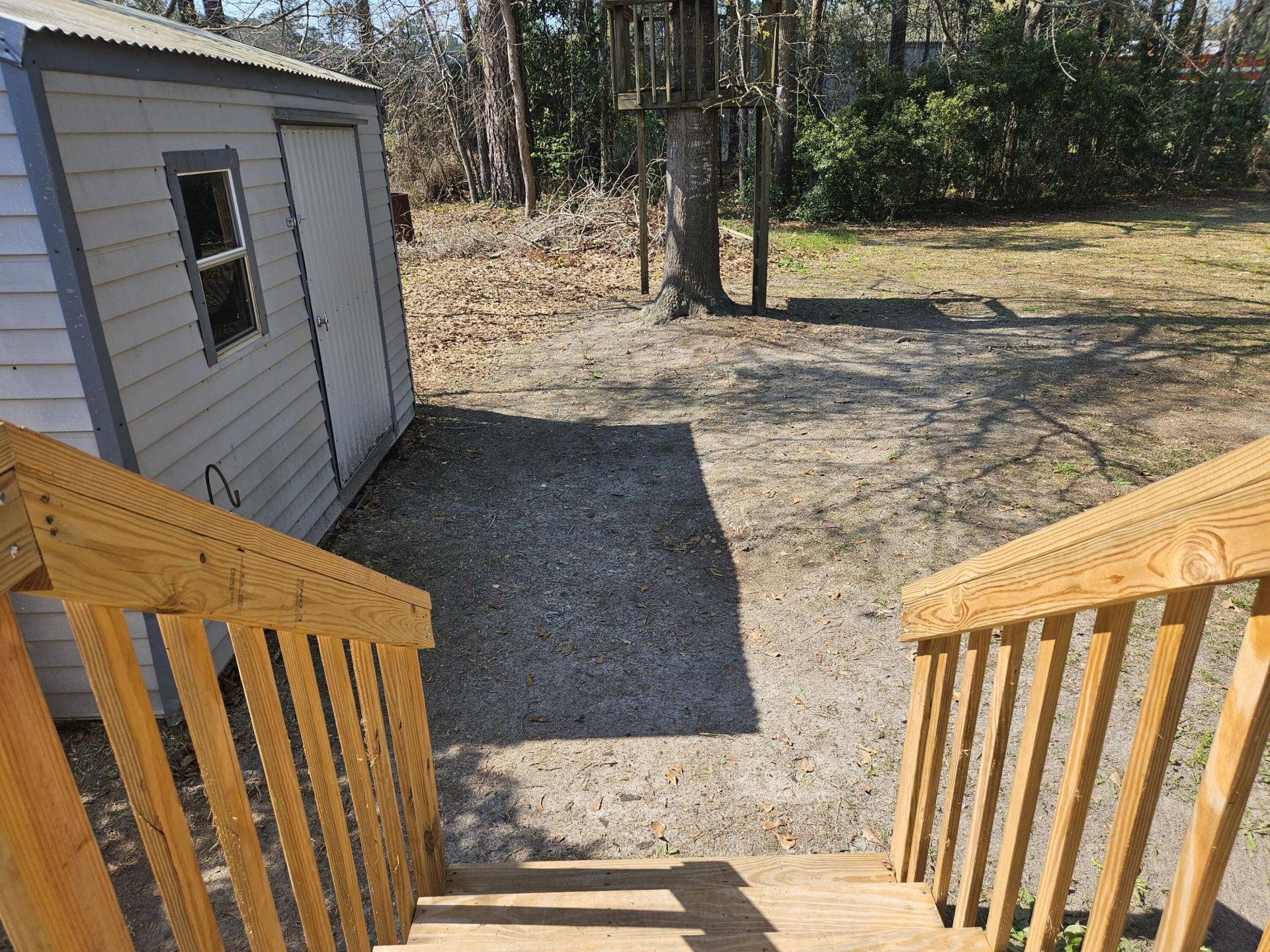 203 Shannon Road Photo 7