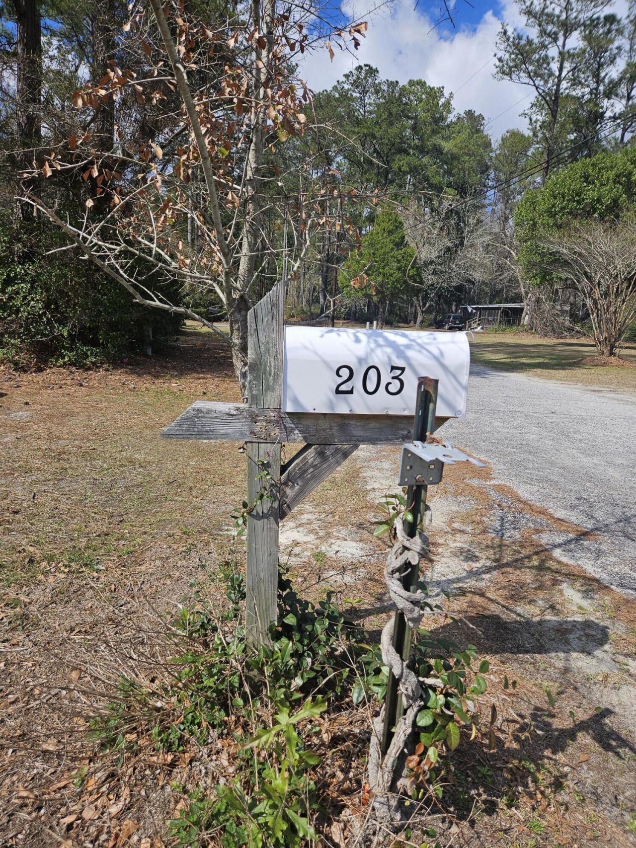 203 Shannon Road Photo 8
