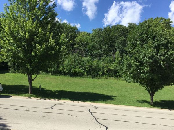 517 Rivers Edge Drive, Minooka, IL 60447