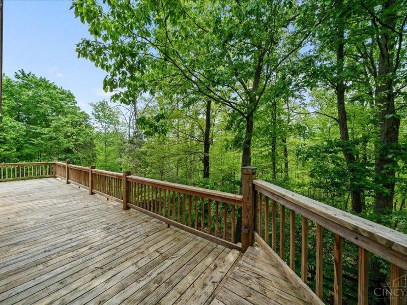 1393 Dutch Thomas Road, Peebles, OH 45660 Photo 36