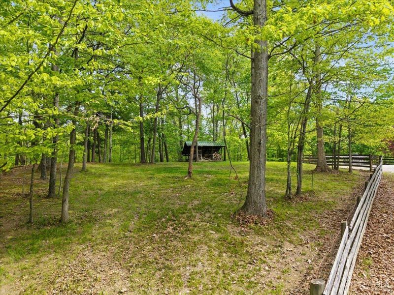 1393 Dutch Thomas Road, Peebles, OH 45660 Photo 41