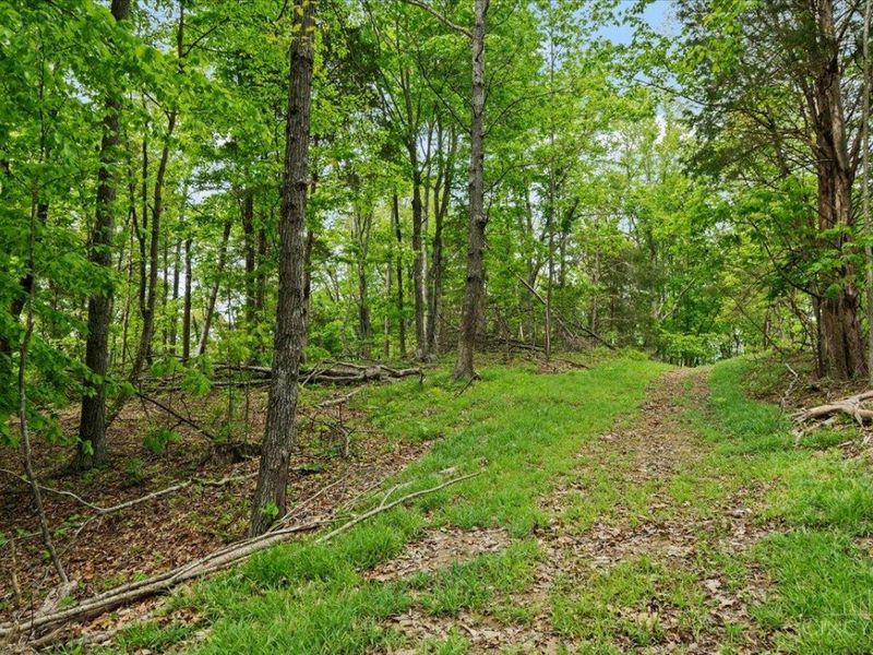 1393 Dutch Thomas Road, Peebles, OH 45660 Photo 44