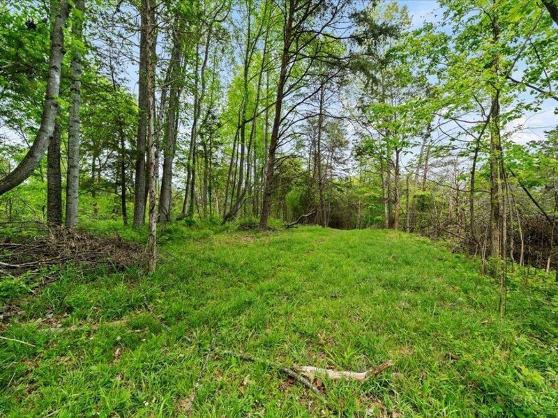 1393 Dutch Thomas Road, Peebles, OH 45660 Photo 45