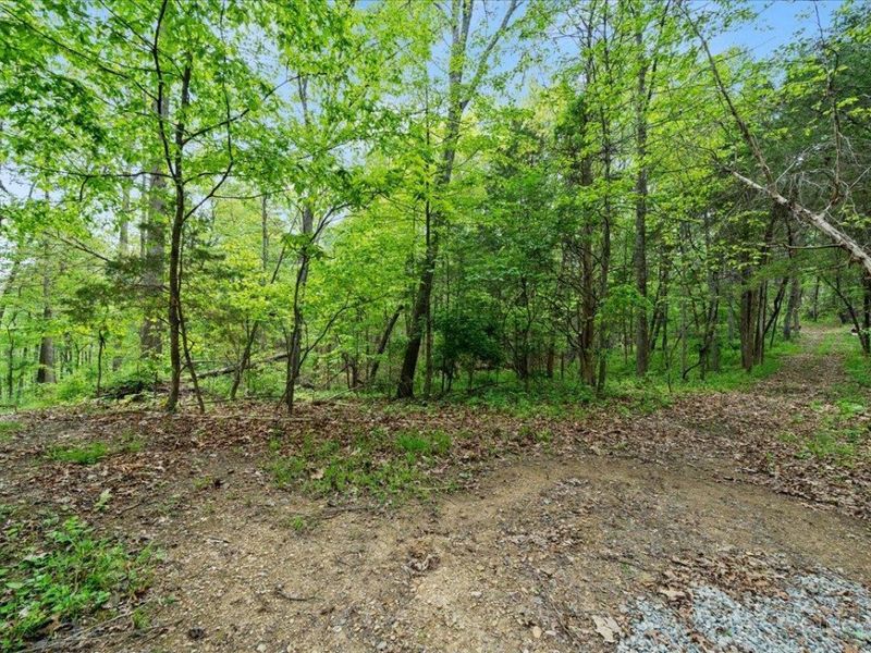 1393 Dutch Thomas Road, Peebles, OH 45660 Photo 48