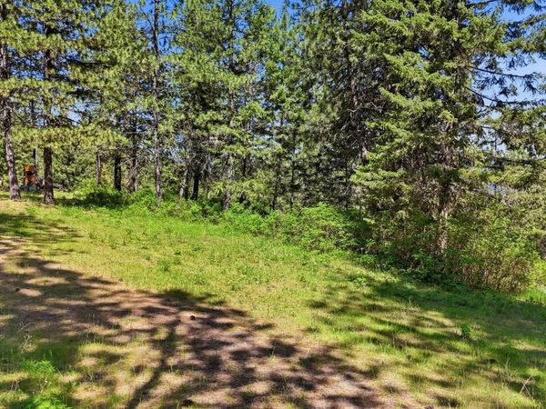 12703 S Alpine Fern Rd, Rockford, WA 99030