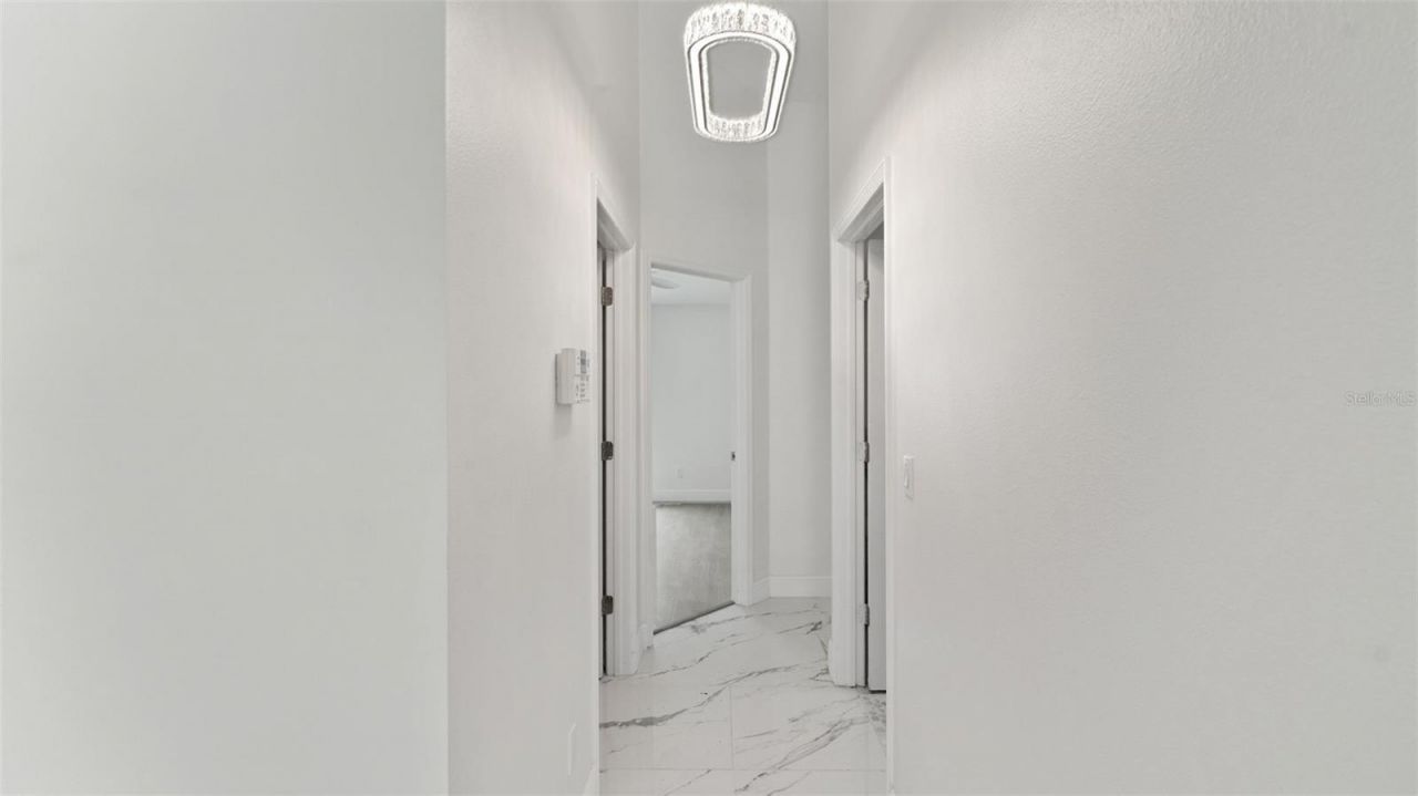 11708 Carrollwood Cove Drive , Tampa, FL 33624 Photo