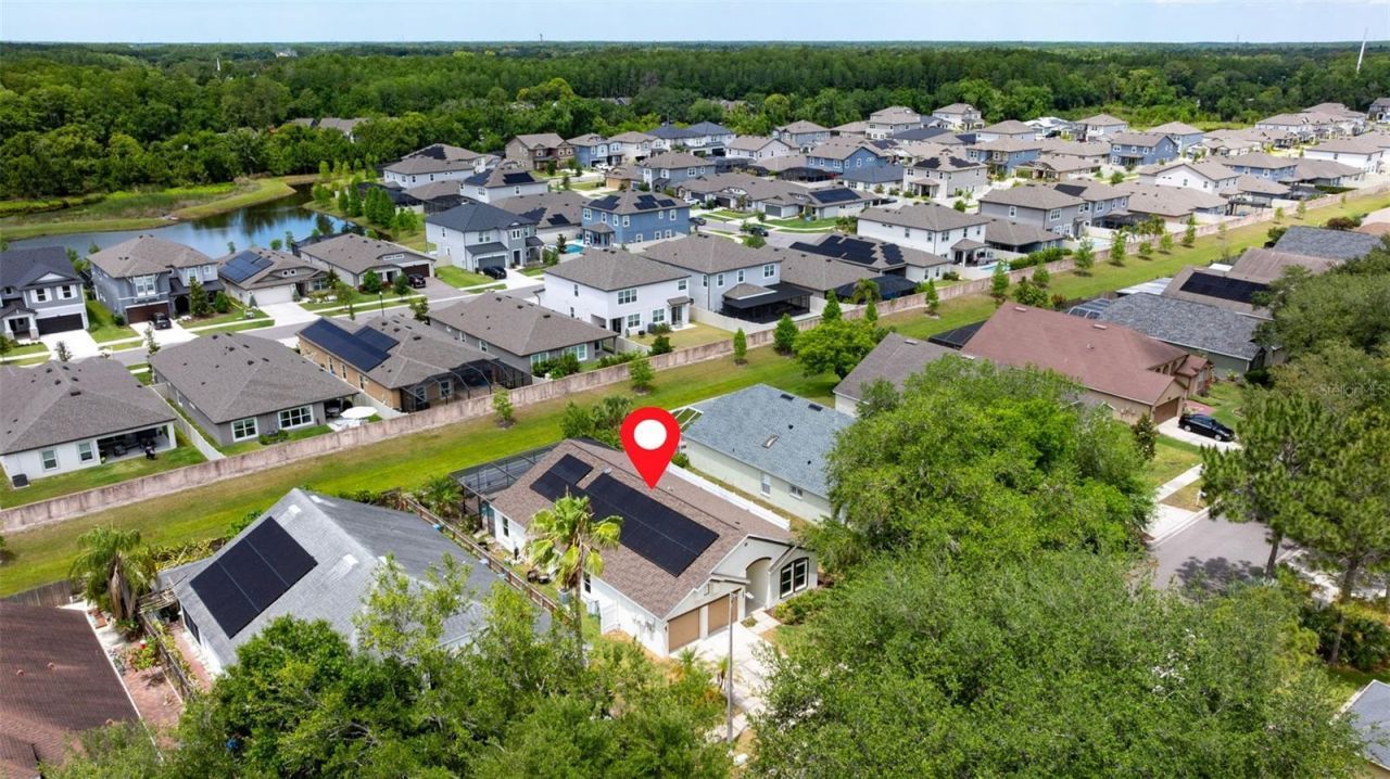 11708 Carrollwood Cove Drive , Tampa, FL 33624 Photo