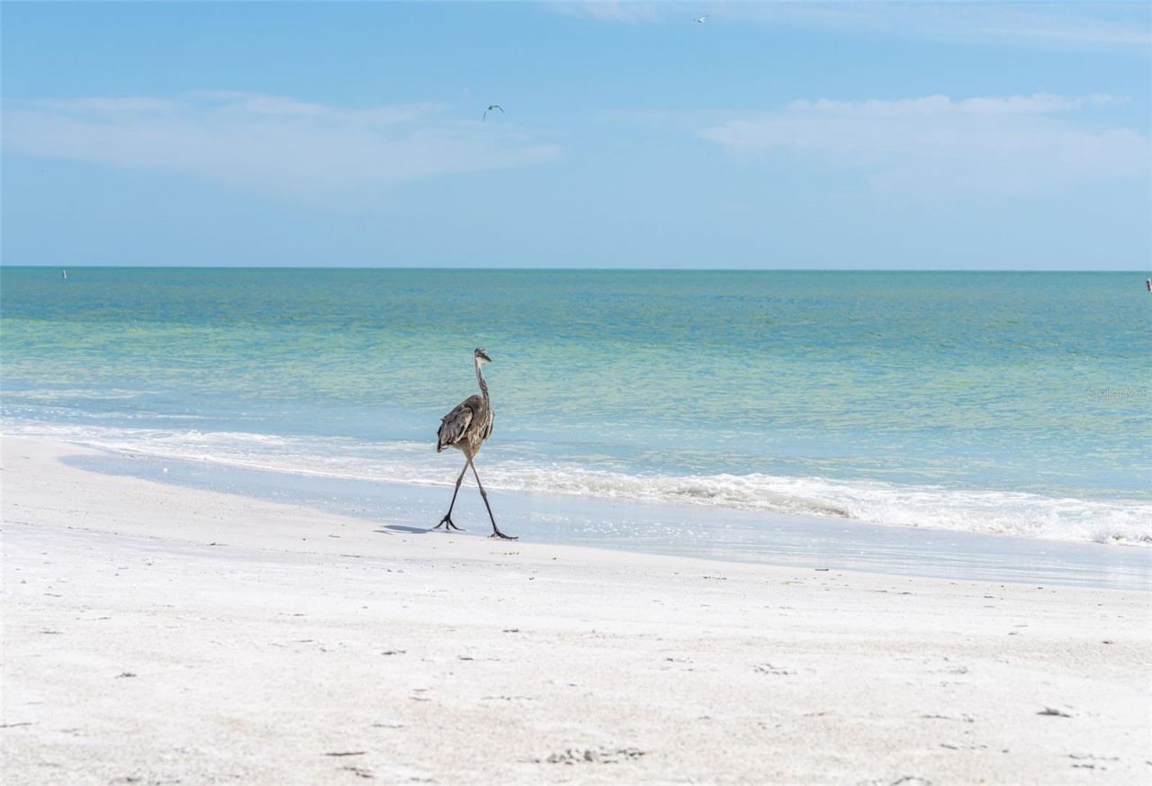 417 Poinsettia Road, Anna Maria, FL 34216 Photo