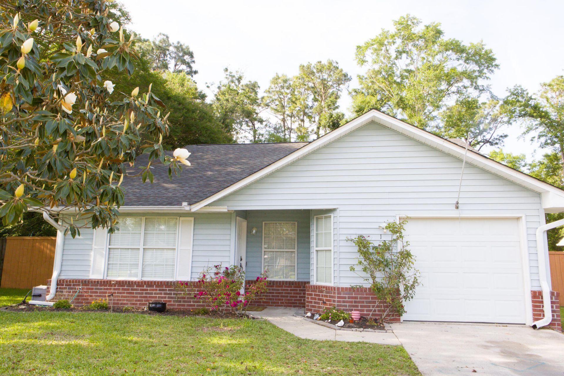 124 Paddock Way Photo 5