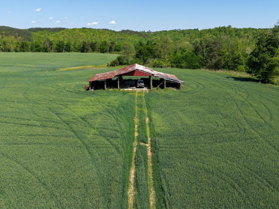 Property Image 6