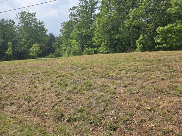 2 Turtle Point , Waverly, TN 37185