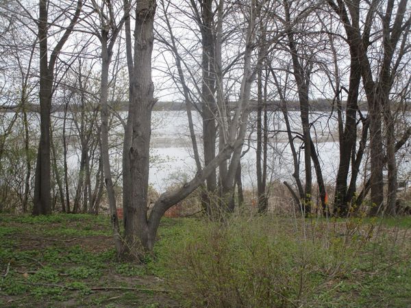 15684 County Road 102 NE, Parkers Prairie, MN 56361
